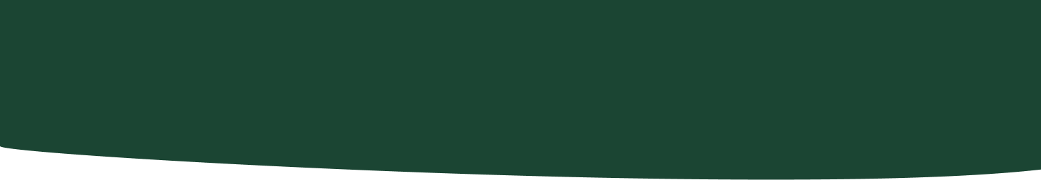 fondo